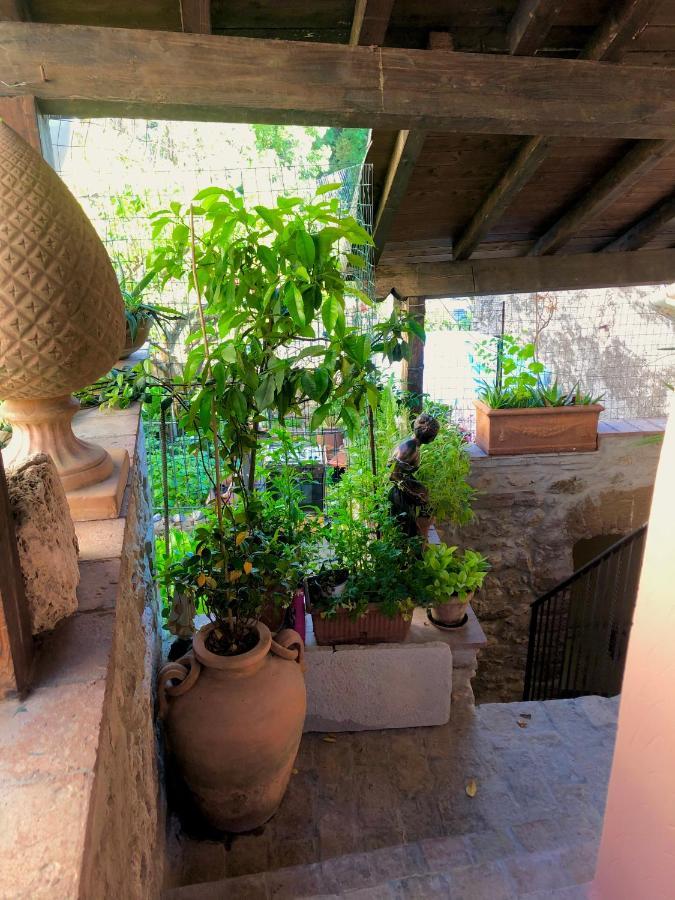 B&B La Fontana Di Pegaso Tivoli Ngoại thất bức ảnh