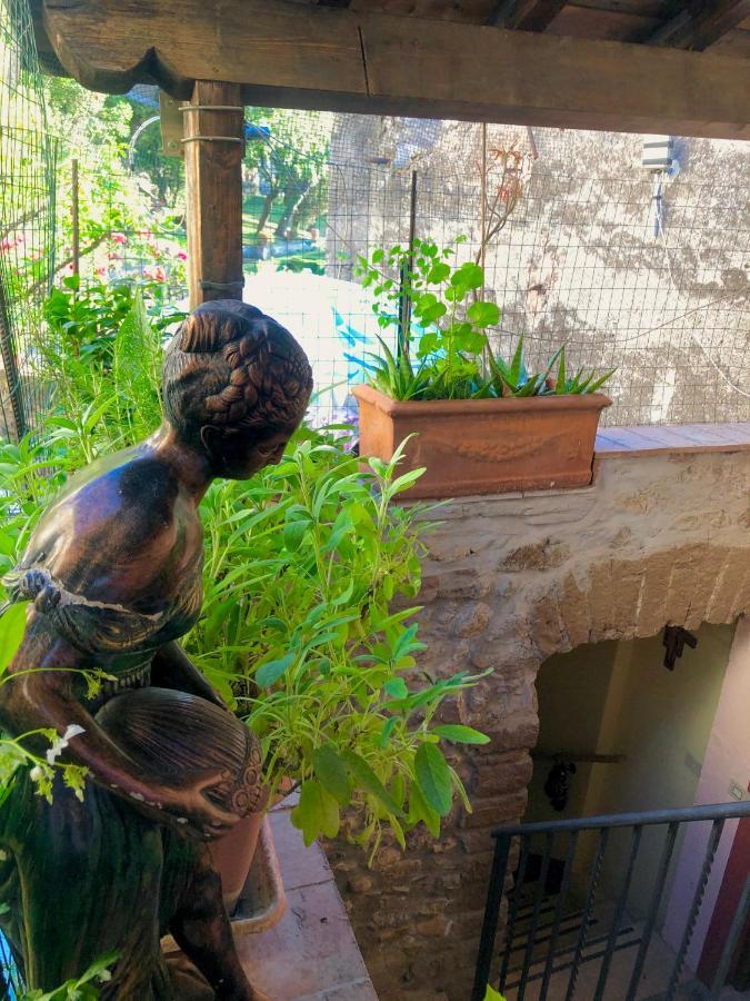 B&B La Fontana Di Pegaso Tivoli Ngoại thất bức ảnh